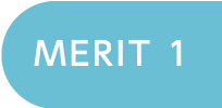 merit1